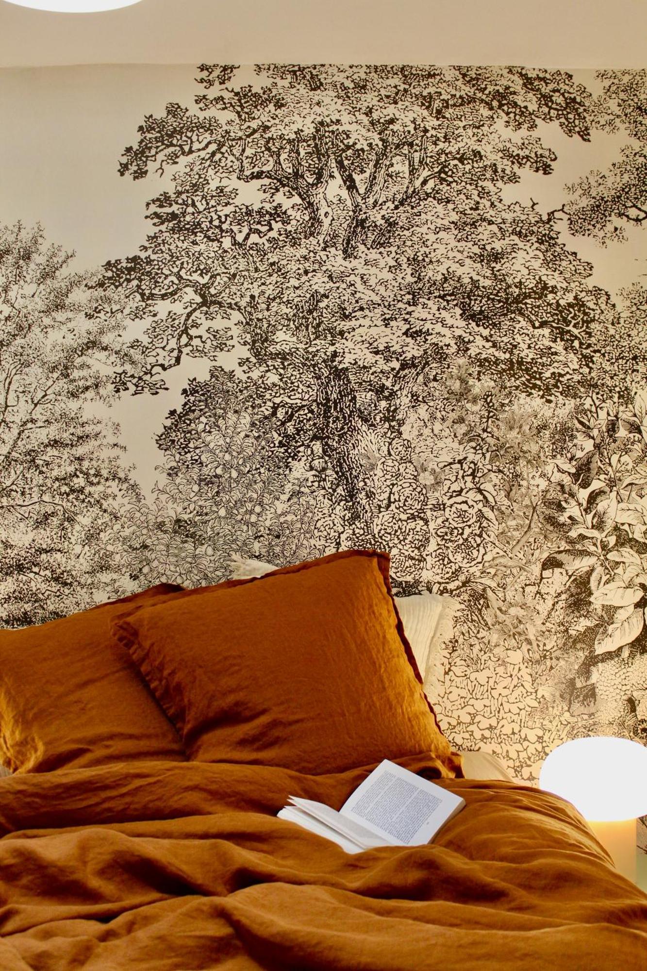 Maison Merci - Maison D'Hotes Carcassonne Dış mekan fotoğraf